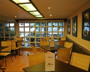 Wise Owl Cafe on Purna Das Road - an excellent place for hangout in South Kolkata
