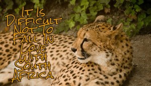 #VisitSouthAfrica